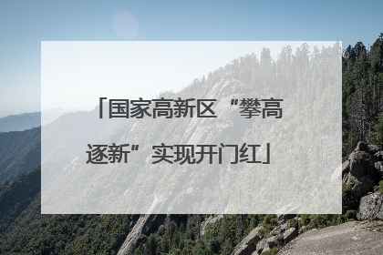 国家高新区“攀高逐新”实现开门红