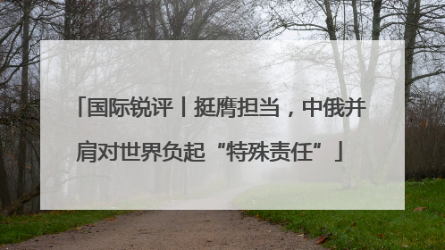 国际锐评丨挺膺担当，中俄并肩对世界负起“特殊责任”