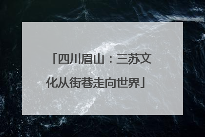 四川眉山：三苏文化从街巷走向世界