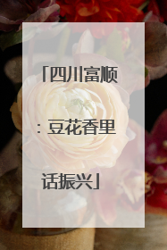 四川富顺：豆花香里话振兴