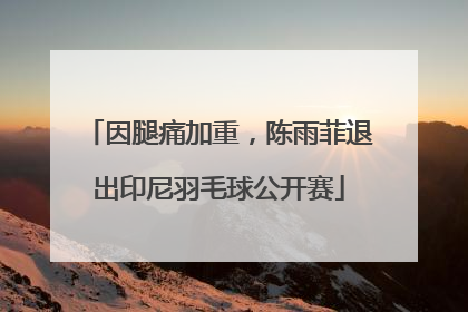 因腿痛加重，陈雨菲退出印尼羽毛球公开赛