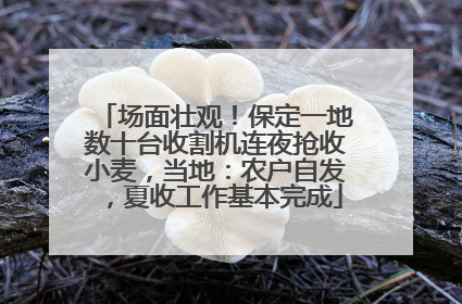 场面壮观！保定一地数十台收割机连夜抢收小麦，当地：农户自发，夏收工作基本完成