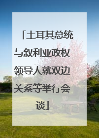 土耳其总统与叙利亚政权领导人就双边关系等举行会谈