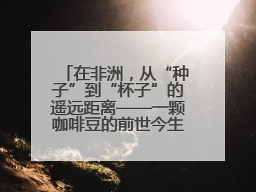 在非洲，从“种子”到“杯子”的遥远距离——一颗咖啡豆的前世今生（三）