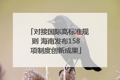 对接国际高标准规则 海南发布158项制度创新成果