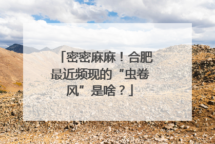 密密麻麻！合肥最近频现的“虫卷风”是啥？