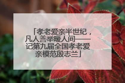 孝老爱亲半世纪，凡人善举暖人间——记第九届全国孝老爱亲模范殷志兰