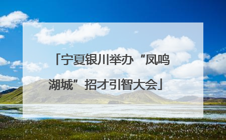宁夏银川举办“凤鸣湖城”招才引智大会