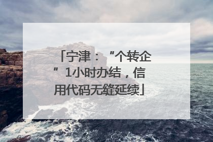 宁津：“个转企”1小时办结，信用代码无缝延续