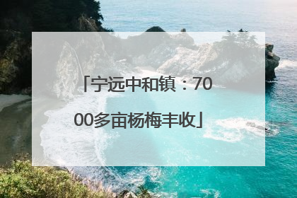 宁远中和镇：7000多亩杨梅丰收