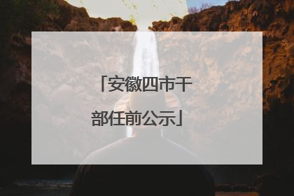 安徽四市干部任前公示