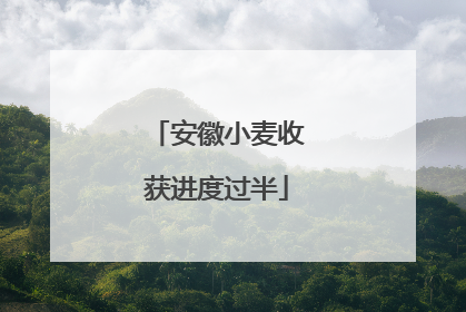 安徽小麦收获进度过半