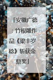 安徽广德：竹根雕作品《梁丰岁稔》斩获金鼎奖