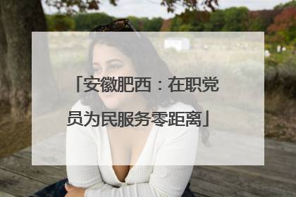 安徽肥西：在职党员为民服务零距离