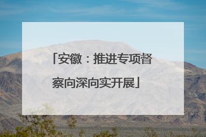 安徽：推进专项督察向深向实开展