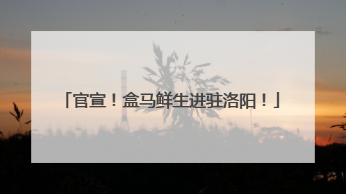 官宣！盒马鲜生进驻洛阳！