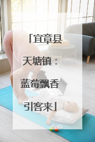 宜章县天塘镇：蓝莓飘香引客来