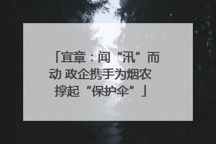 宜章：闻“汛”而动 政企携手为烟农撑起“保护伞”