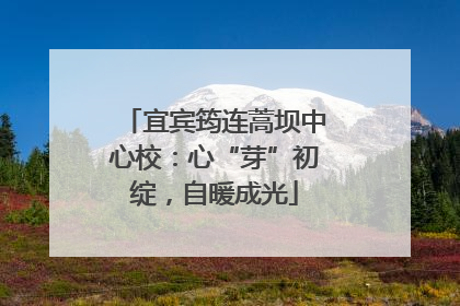 宜宾筠连蒿坝中心校：心“芽”初绽，自暖成光