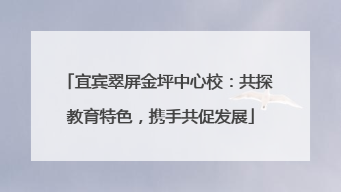 宜宾翠屏金坪中心校：共探教育特色，携手共促发展