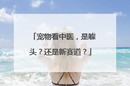 宠物看中医，是噱头？还是新赛道？