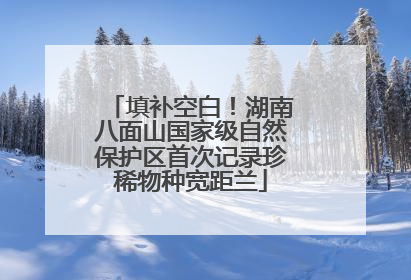 填补空白！湖南八面山国家级自然保护区首次记录珍稀物种宽距兰