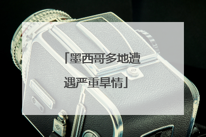 墨西哥多地遭遇严重旱情