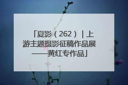 夏影（262）｜上游主题摄影征稿作品展——黄红专作品