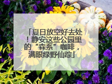 夏日放空好去处！静安这些公园里的“森系”咖啡，满眼绿野仙踪