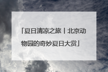 夏日清凉之旅丨北京动物园的奇妙夏日大赏