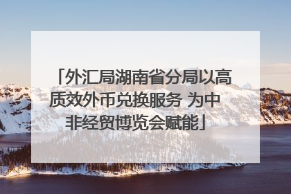 外汇局湖南省分局以高质效外币兑换服务 为中非经贸博览会赋能