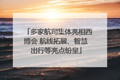 多家航司集体亮相西博会 航线拓展、智慧出行等亮点纷呈