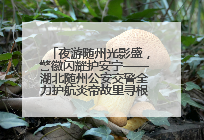 夜游随州光影盛，警徽闪耀护安宁——湖北随州公安交警全力护航炎帝故里寻根节夜游活动侧记