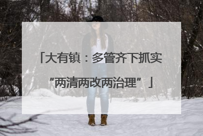 大有镇：多管齐下抓实“两清两改两治理”