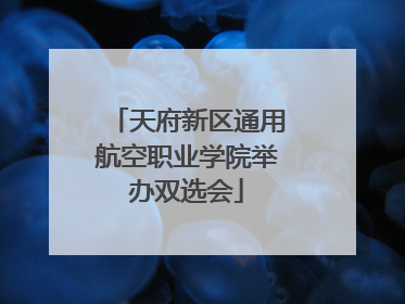 天府新区通用航空职业学院举办双选会