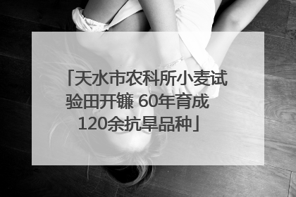 天水市农科所小麦试验田开镰 60年育成120余抗旱品种