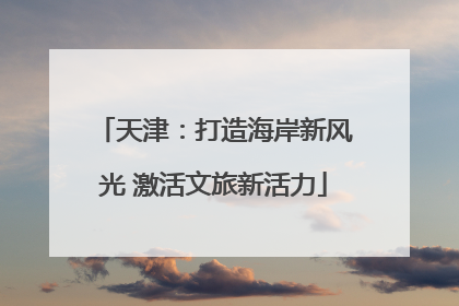 天津：打造海岸新风光 激活文旅新活力