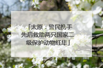 太原：警民携手 先后救助两只国家二级保护动物红隼