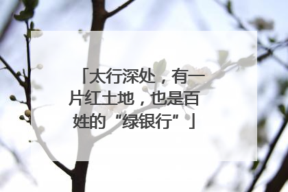 太行深处，有一片红土地，也是百姓的“绿银行”