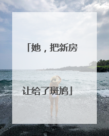 她，把新房让给了斑鸠