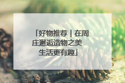 好物推荐｜在周庄邂逅造物之美 生活更有趣