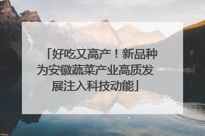 好吃又高产！新品种为安徽蔬菜产业高质发展注入科技动能