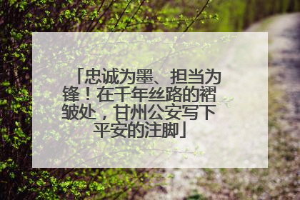 忠诚为墨、担当为锋！在千年丝路的褶皱处，甘州公安写下平安的注脚