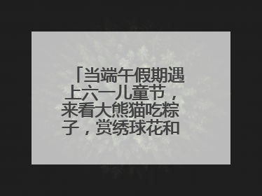 当端午假期遇上六一儿童节，来看大熊猫吃粽子，赏绣球花和马鞭草花海