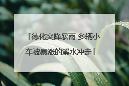 德化突降暴雨 多辆小车被暴涨的溪水冲走