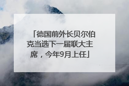 德国前外长贝尔伯克当选下一届联大主席，今年9月上任