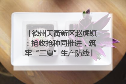 德州天衢新区赵虎镇：抢收抢种同推进，筑牢“三夏”生产防线