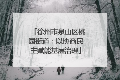 徐州市泉山区桃园街道：以协商民主赋能基层治理