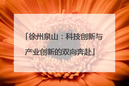 徐州泉山：科技创新与产业创新的双向奔赴