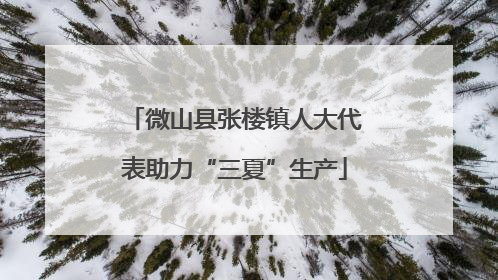 微山县张楼镇人大代表助力“三夏”生产